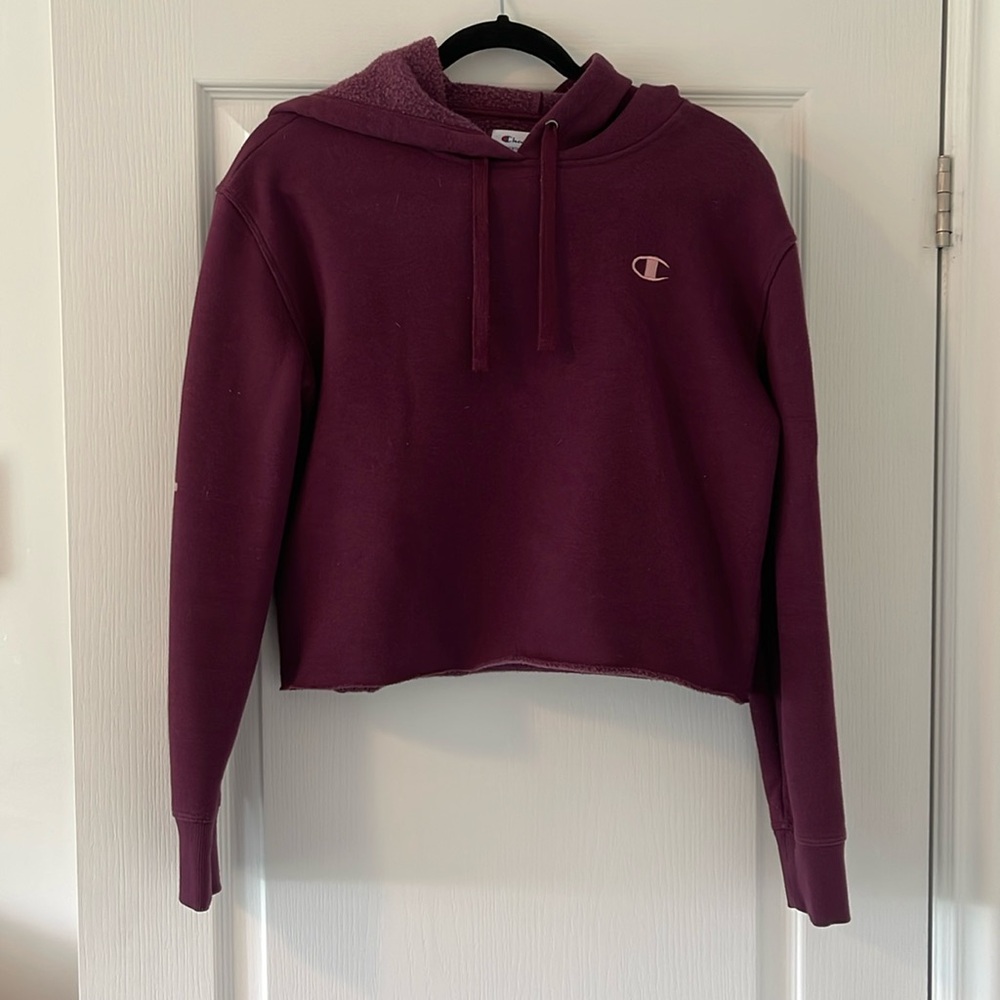 Champion Raspberry/Purply-Red Cropped Hoodie and jogger pants set